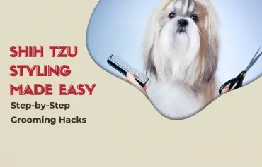 Expert Tips on Shih Tzu Dog Grooming